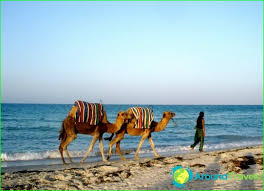Tuniské pobrežie ponúka nádherné piesočné pláže a pokojné čisté more. Plaze Tuniska Foto Najlepsie Piesocne Plaze V Tunisku