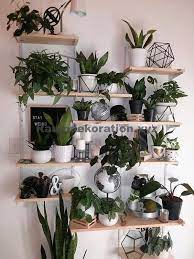 Decora la pared de forma tan fácil como colgar un cuadro. Room Decor Zimmerpflanzen Pflanzen Wand Wanddekore Diy Pflanzen Dekor Wand Wohnzimmer D Pflanzen Dekor Zimmerpflanzen Dekor Pflanzenwand