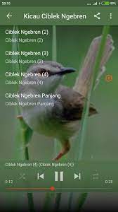 Langsung saja jangan ragu untuk menginstal aplikasi yang bagus. Suara Burung Ciblek Kristal Gacor Fur Android Apk Herunterladen