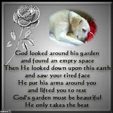 Death is not extinguishing the light; He Only Takes The Best Loved One In Heaven Dog Poems First Love