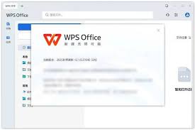 WPS2025 专业纯净版免登录自动激活无限制使用-极客空间站