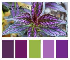 Madre S Musings July 2012 Green Color Schemes Purple Color Palettes Green Colour Palette