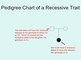 Notice that because a female individual always contains two x chromosomes, she always contains a pair of alleles for any given trait. Module 10 Human Heredity