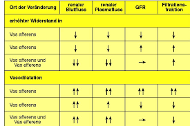 4.2 renaler blutfluß und renale perfusion. N I E R E Aufgaben Der Niere Anatomie Und Leistungen Der Niere Autoren Florian Raber Dominik Vogt Julia Dorschner Prof Dr Dr Pdf Free Download