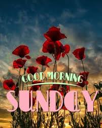 We did not find results for: 220 Hello Sunday Ideas In 2021 Hello Sunday Sunday Happy Sunday