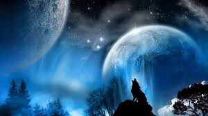 Find the best samsung galaxy wallpaper on getwallpapers. Paisaje Con Lobo Paisajes 3d Fotos De Lobo Paisajes De Noche