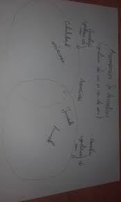 Nu trebuie sa muncim de dimineata pana seara. Realizeaza Un Tabel In Care Sa Scrii Asemanarile Si Deosebirile Intre Copilaria De Azi Si Cea De Ieri Brainly Ro