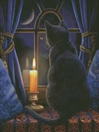 Black Cat And Candle In The Widow Midnight Vigil Magic