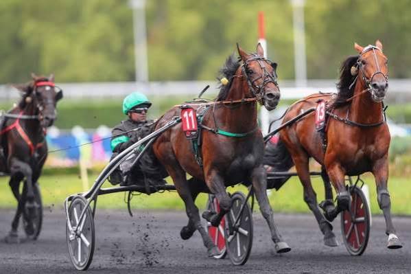 Arrivée PMU Pick5 Critérium des 5 ans (Gr. I), samedi à Vincennes. KRACK TIME ATOUT, comme dans un rêve
