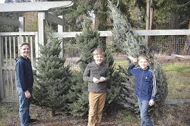 Get directions, reviews and information for a knot in thyme in oak harbor, wa. Find A Fantastic Fir For Your Whidbey Christmas Whidbey News Times