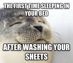 Pin By Lindsey Keene On Laugh It Off Funny Animals Funny Pictures Super Funny