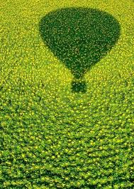 Grass Green With Shadow Of Hot Air Balloon Or An Alien Head Balloons Great Big Canvas Green Aesthetic