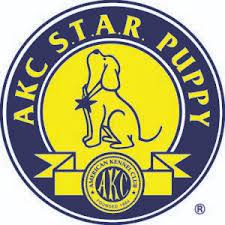 Akc star puppy near me. Akc S T A R Puppy American Kennel Club