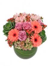 We did not find results for: Pink White Dreams Flower Arrangement In Biloxi Ms Flower Basket Florist