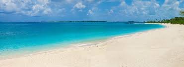 After pulling off a bank heist in paris, five friends live the good life in phuket. Paradise Island Beach Club Updated 2021 Prices Resort Reviews Bahamas New Providence Island Tripadvisor