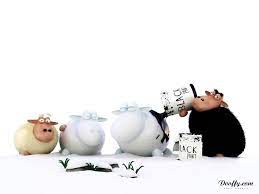 Sheep Black Paint Funny Sheep Cartoon Wallpaper Funny Wallpaper