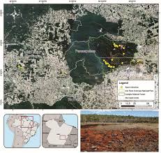 Nastro carta per mascherature 50mmx50m. Frontiers Seed Functional Traits Provide Support For Ecological Restoration And Ex Situ Conservation In The Threatened Amazon Ironstone Outcrop Flora Plant Science