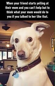 Me As A Kid Funny Dog Memes Funny Memes Comebacks Funny Animal Pictures