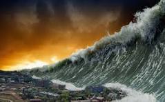 What can we learn from natural disasters?