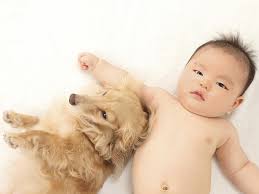 There were several changes among girls' names this year, with 'sophia' taking top spot, rising up from 18th place last year. Canada S Top Boys Names Of 2016 So Far Babycenter Canada