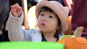 Glenview, Northbrook farmers markets reflect