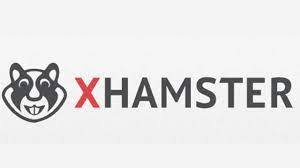 What Is Xhamster.com (xhamster.desi), Who Should Be Used And Is It Safe?