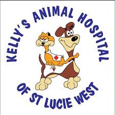 At all pets vet hospital we exercise compassion and understand the special bond between owner and four legged companion. All Pets Vet Hospital Home Facebook