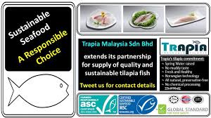 Trapia malaysia sdn bhd's net profit margin decreased by 6.11% in 2018. Trapia Tilapia On Twitter Http T Co 1cctyfxe8f