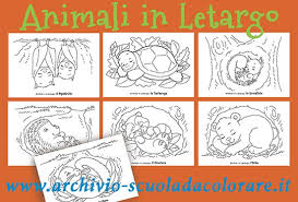 Disegni Da Colorare Sugli Animali In Letargo Attivita Montessori Disegni Da Colorare Animali