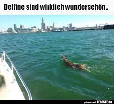 Besten Bilder Videos Und Spruche Und Es Kommen Taglich Neue Lustige Facebook Bilder Auf Debeste De Hier Werden Funny Animal Pictures Funny Pictures 18 Pics