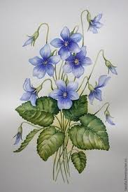 Maybe you would like to learn more about one of these? 160 Violet Tattoo Ideas Violet Tattoo Violet Flower Sweet Violets