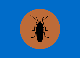Termite and pest control in the west orange, nj area. Advanced Termite And Pest Control
