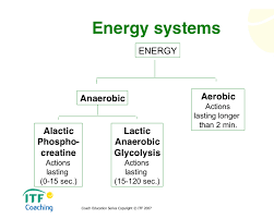 Energy Systems Home