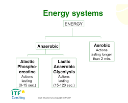 energy systems home