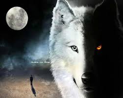 Tier wallpaper wolf wallpaper neon wallpaper cute wallpaper backgrounds animal wallpaper phone wallpapers anime wolf dark fantasy art fantasy wolf. Free Fantasy Wolf Wallpaper Fantasy Wolf Wallpaper Download Wallpaperuse 1