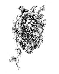 Tattoo anatomical heart with flowers drawing. Nessuna Descrizione Della Foto Disponibile Sleeve Tattoos Anatomical Heart Drawing Heart Art