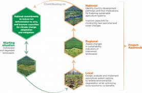 Therefore, ecological planning is the most important approach. Sustainable Amazonian Landscapes Sustainable Amazonian Landscapes