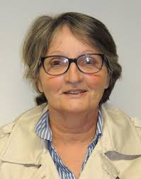 Le conseil municipal