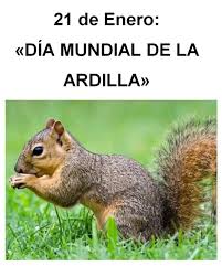 Día Mundial de la Ardilla