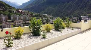 Natursteingarten Mit Diversen Pflanzen Und Kies Aus Italien Auf Einem Flachdach In Visp Garten Pflanzen Und Natur