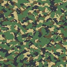 See more ideas about camo, background, camouflage. Green Effect Camouflage Background Free Stock Photo Public Domain Pictures Camouflage Bedroom Decor Camouflage Bedroom Camo Nursery Decor