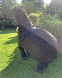 Horse head, body front with attached blanket; Black 2 Man Horse Costume Pantomime Horse Animal Fancy Dress