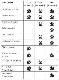 Printable Dog Vaccination Chart Www Bedowntowndaytona Com