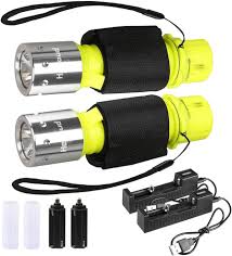 Amazon.com : HECLOUD Diving Flashlight with Rechargeable Power Scuba Dive  Light IPX8 Waterproof Underwater Flashlight Snorkeling Diving LED High  Lumens Torch, 3 Modes with Charger for Underwater Sports(2Pack) : Sports &  Outdoors