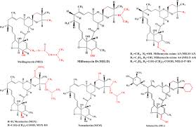 Zauberhafte, bedeutsame dinge, die du nirgendwo sonst finden kannst. Immunoassays For The Detection Of Macrocyclic Lactones In Food Matrices A Review Sciencedirect