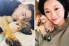 Contacted other vets, however they are in the same ballpark price wise. 17 Celebrity Pet Instagram Accounts That Have More Followers Than You