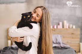 Il maine coon è un gatto estremamente tollerante, amorevole e affettuoso. Le 10 Migliori Razze Di Gatti Da Appartamento Quale Scegliere