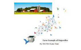 Animal cell real life examples. Real Life Example Of Organelles By Mai Her