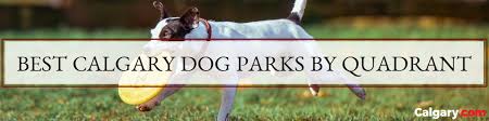 See more of paws pet food and accessories 17th ave on facebook. The Best Calgary Dog Parks By Quadrant