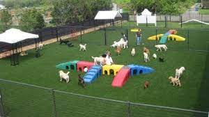 Pin By Ina Chiara On Dog Everything Dog Daycare Dog Kennel Cover Dog Kennel